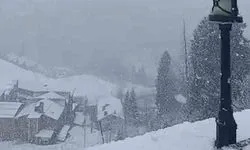 Dünyaca ünlü Ayder Yaylası'nda kar etkisini sürdürüyor