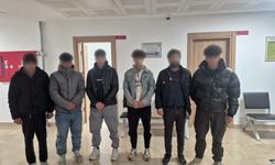 6 düzensiz göçmen yakalandı, 1 zanlı tutuklandı