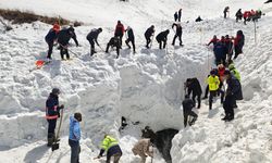 Günlerdir umutlu bekleyiş: Ardanuç Bülent Gezer için seferber