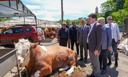 Başkan Kaya,kurban pazarını ziyaret etti