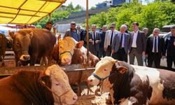 Ortahisar,Kurban Bayramı'na hazır