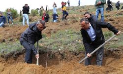 Her ünvana bir ağaç: Anlamlı proje