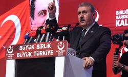 BBP Genel Başkanı Destici: 'Bir çocuğumuzun daha köpek saldırısında hayatını kaybetmesine tahammülümüz yok'