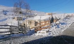 Doğu Karadeniz yaylalarına kış geri geldi