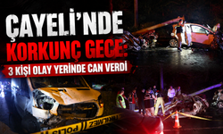 Sahil yolunda facia: 3 can gitti