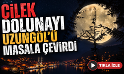 Uzungöl'de geceyi aydınlatan büyüleyici manzara