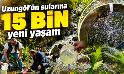 15 bin kırmızı benekli alabalık doğal yaşamla buluştu