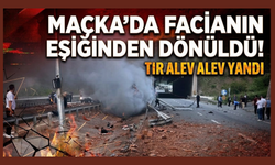 Bariyerlere çarpan tır Alev topuna döndü!