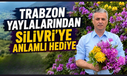 İmamoğlu'nun yayla özlemi komar çiçekleriyle giderilecek