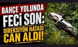 Kamyonet dereye uçtu,sürücü kurtarılamadı