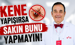 Kene alarmı! Uzmandan hayat kurtaran uyarılar
