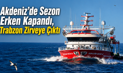 Trabzon filosu orkinos avında zirvede