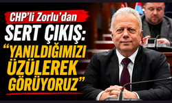 Zorlu'dan Kılıçdaroğlu eleştirisi: "Biraz öz eleştiri olur"
