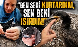 Kurtardı ama ısırıldı: Karabataktan unutulmaz teşekkür