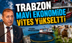Yatırımcı akını sürüyor: Trabzon mavi ekonomiye yön veriyor