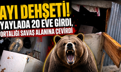 Yaylada şaşkına çeviren görüntüler: Ayı ev ev dolaştı