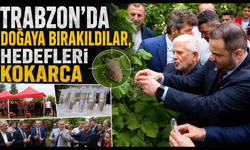 Kahverengi kokarcaya karşı 140 binlik ordu