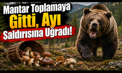 Ayıyla burun buruna:Korku dolu anlar
