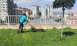 Park ve yeşil alanlar yaz mevsimine hazır