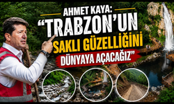 Çağlayan Şelalesi projesinde geri sayım başladı