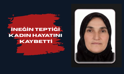İneğin teptiği kadın hayatını kaybetti