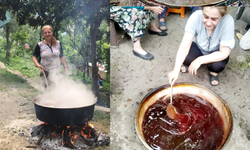 Artvin'de pekmez sezonu açıldı