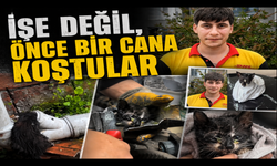 Borudan gelen ses hayat kurtardı!