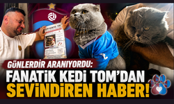 Günlerdir kayıptı,fanatik Kedi Tom bulundu!