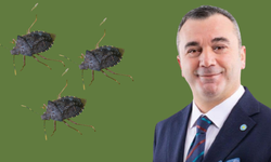 Yavuz Aydın: “Kokarca ile mücadele afiş asmakla olmaz”