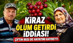 Korkutan iddia! Kiraz yediler, 11 gün arayla hayatlarını kaybettiler
