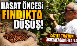 Fındıkta kritik bekleyiş! Üreticinin gözü açıklanacak fiyatta