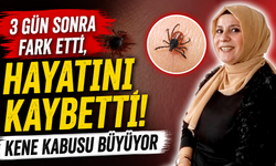 Kene tehlikesi can almaya devam ediyor! Bir kadın daha yaşamını yitirdi