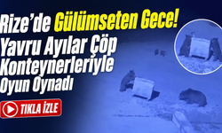 Ayı yavrularının gece mesaisi! Konteynerleri böyle sürüklediler
