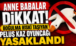 Çocuk odalarındaki gizli tehlike! Peluş kaz oyuncağına yasak geldi