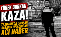 Feci kaza minik Hatip'i hayattan kopardı! Sürücü aranıyor