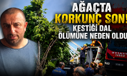 Bir dal, bir hayat: Ihlamur toplarken akıma kapıldı