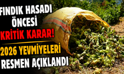 Giresun'da hasat mesaisi başlıyor! İşçilerin alacağı yevmiye netleşti