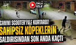 Saniyelerle kurtuldu! Sahipsiz köpeklerin saldırısı kamerada