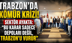 Trabzon'da faaliyet gösteren 8 kömür tesisinin faaliyetlerinin durdurulmasına firma sahiplerinden tepki