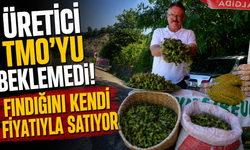 Dalından toplandı,aynı gün satışa çıktı! Taze fındığa büyük ilgi