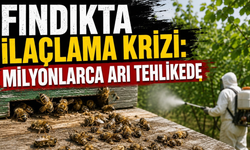 Bal üreticileri endişeli:Bilinçsiz ilaçlama arıları bitiriyor iddiası