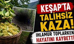 Ihlamur toplarken taşlık zemine düştü! Hastanede yaşamını yitirdi