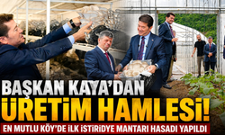 Kilosu 400 liraya kadar çıkıyor! Başkan Kaya'dan üreticiye yeni gelir kapısı