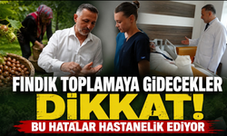 Fındık hasadı sanıldığı kadar masum değil! Uzman riskleri tek tek anlattı
