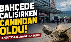 Fındık bahçesinde kahreden kaza!