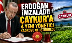 ÇAYKUR'da kadro hamlesi! Fabrika müdürü ve müdür yardımcısı kadroları açıldı