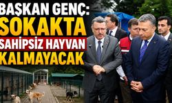 Başkan Genç’ten sokak hayvanları için dev proje müjdesi