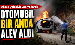 Yol ortasında alev topuna döndü!
