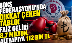Ringde madalya,kasada faiz! Boks Federasyonu'nun mali tablosu tartışma yarattı
