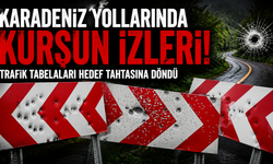 Bir mermi,büyük tehlike! magandalar trafik güvenliğini hedef alıyor
